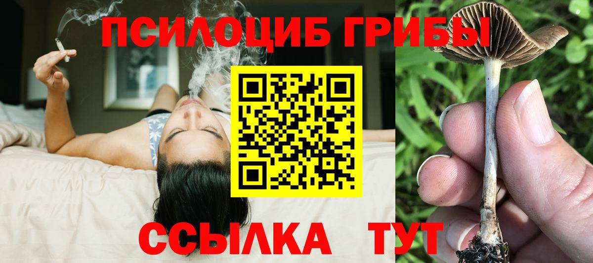 Галлюциногенные грибы прущие грибы Нурлат