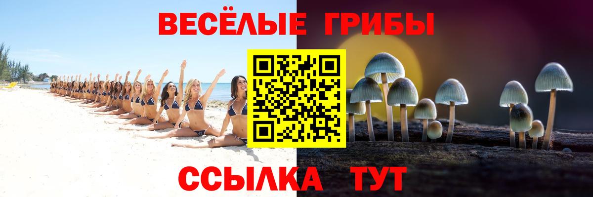 Нурлат  Псилоцибиновые грибы мицелий  сколько стоит  Псилоцибиновые грибы MAGIC MUSHROOMS  Вход с VPN 
